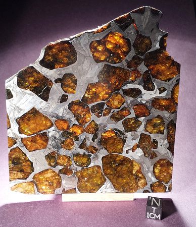 Fukang (Pallasite)